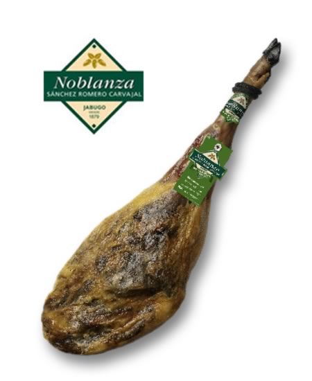 Jamón ibérico de Bellota bellota. Jamón ibérico de Bellota